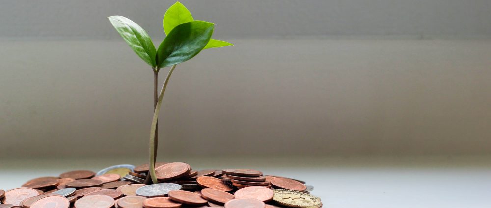 avales ico