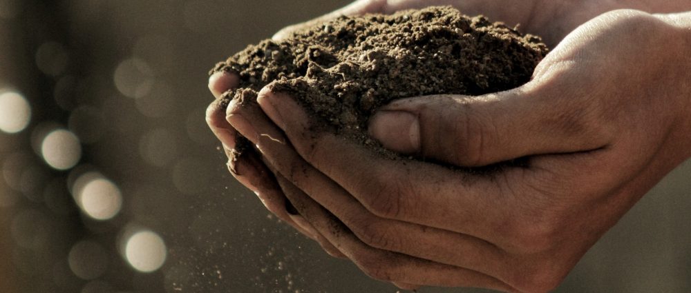 Día Mundial del Medio Ambiente