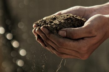 Día Mundial del Medio Ambiente