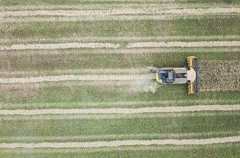 Ciberagricultura y econormativa
